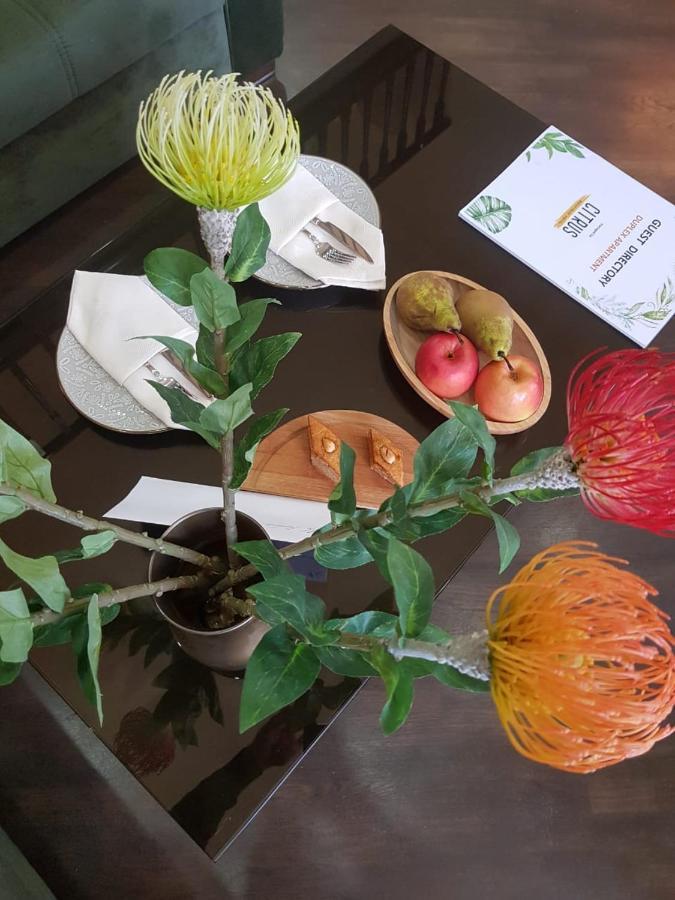 באקו Citrus Boutique Hotel מראה חיצוני תמונה