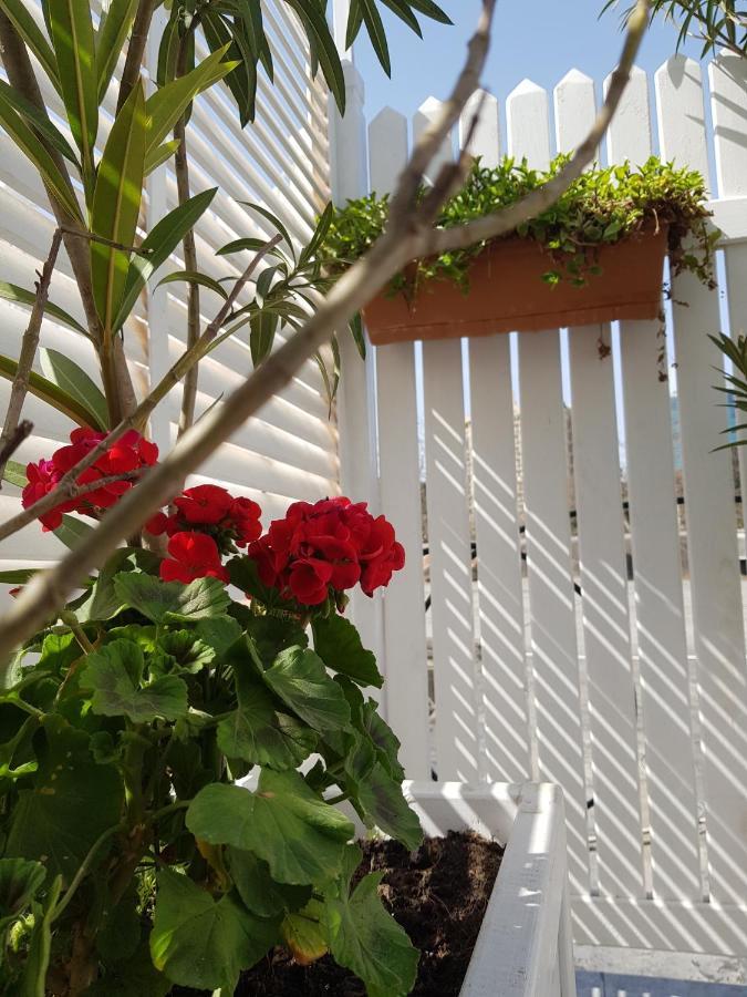 באקו Citrus Boutique Hotel מראה חיצוני תמונה